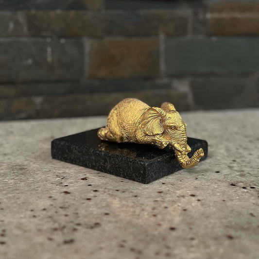 Λευκός ελέφαντας ξαπλωμένος πάνω σε μαύρο γρανίτη